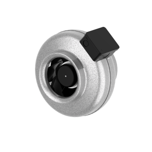 7000045_CK_150_C1_aut_tc.png